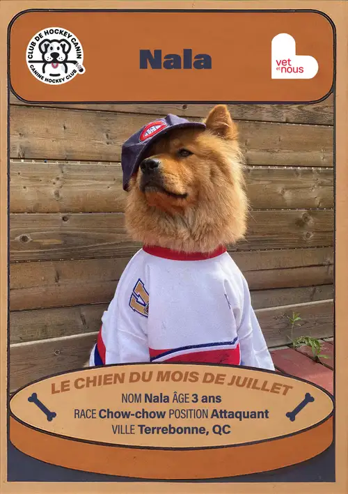 Chien du mois : Juillet