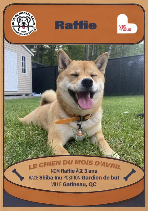 Chien du mois : Avril